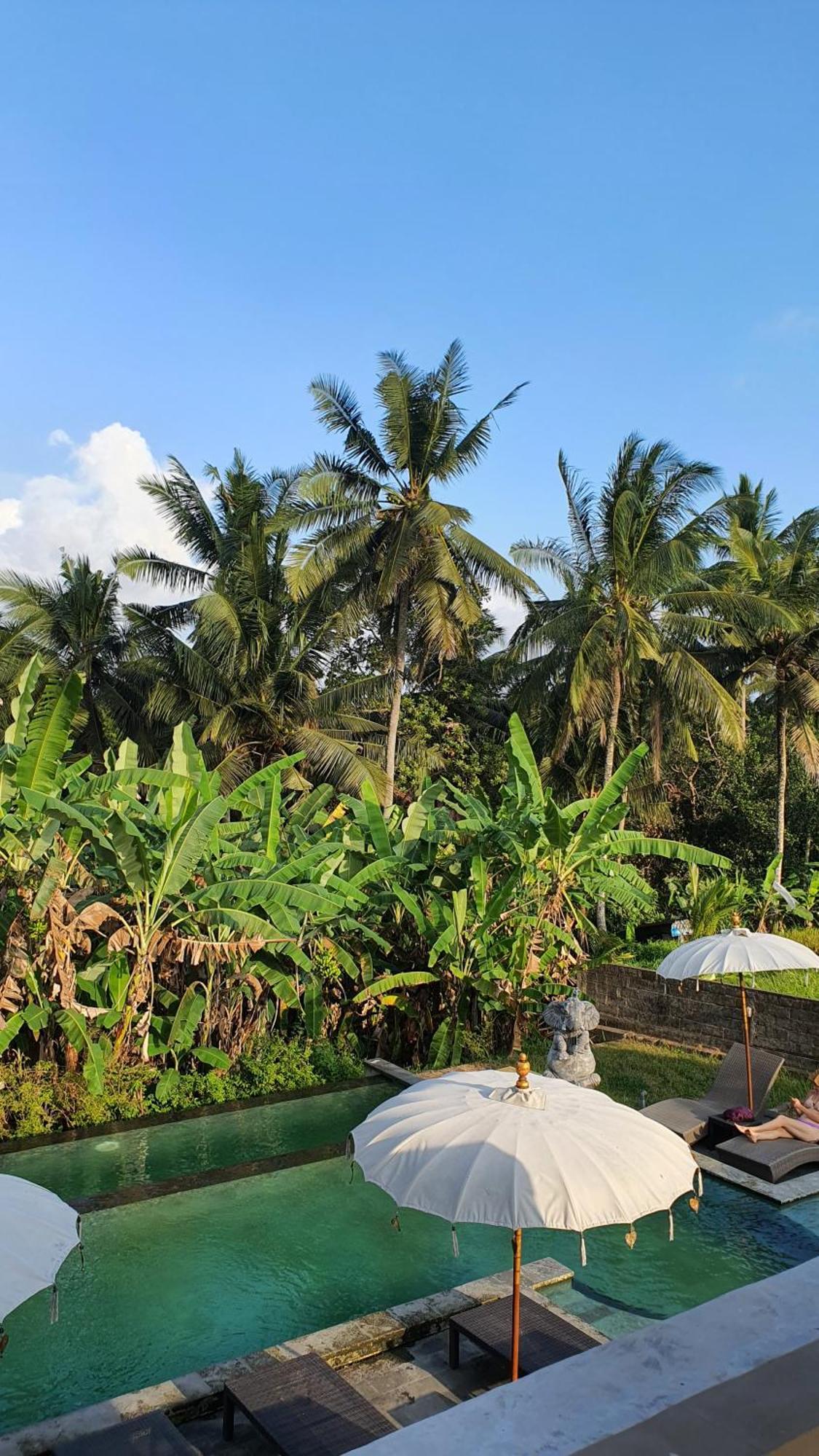 Rice Field House Ubud